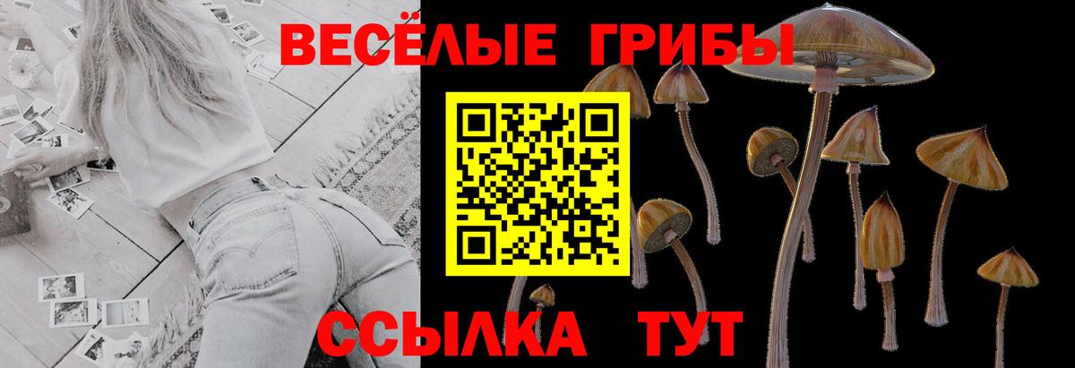 Галлюциногенные грибы ЛСД Сосновоборск