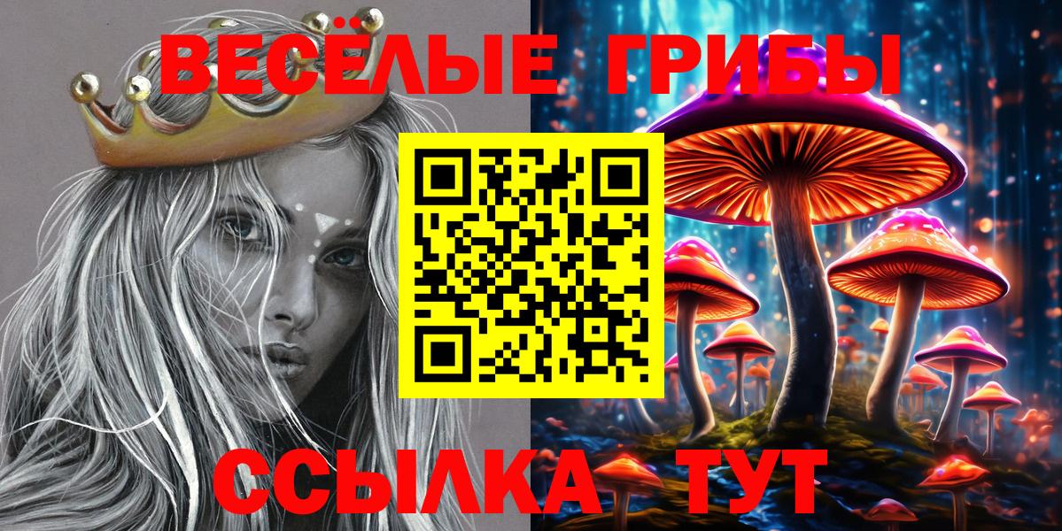 где найти   Псилоцибиновые грибы мицелий  Вход с VPN  Сосновоборск 